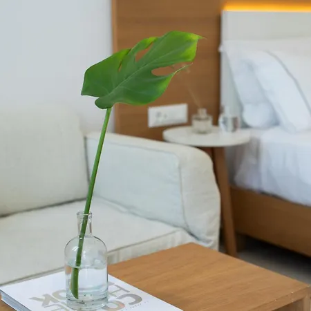 Ξενοδοχείο Damianos Mykonos Mykonos Town